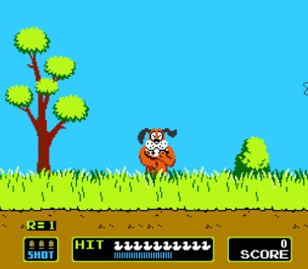 duck-hunt-dog